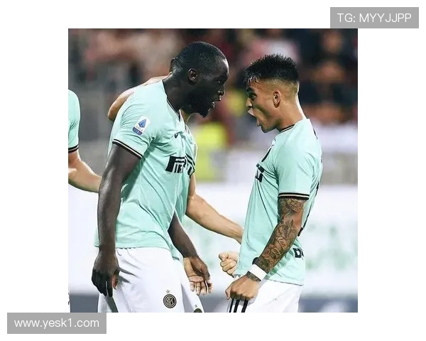 劳塔罗与卢卡库巅峰期进攻效率及战术适配性对比分析